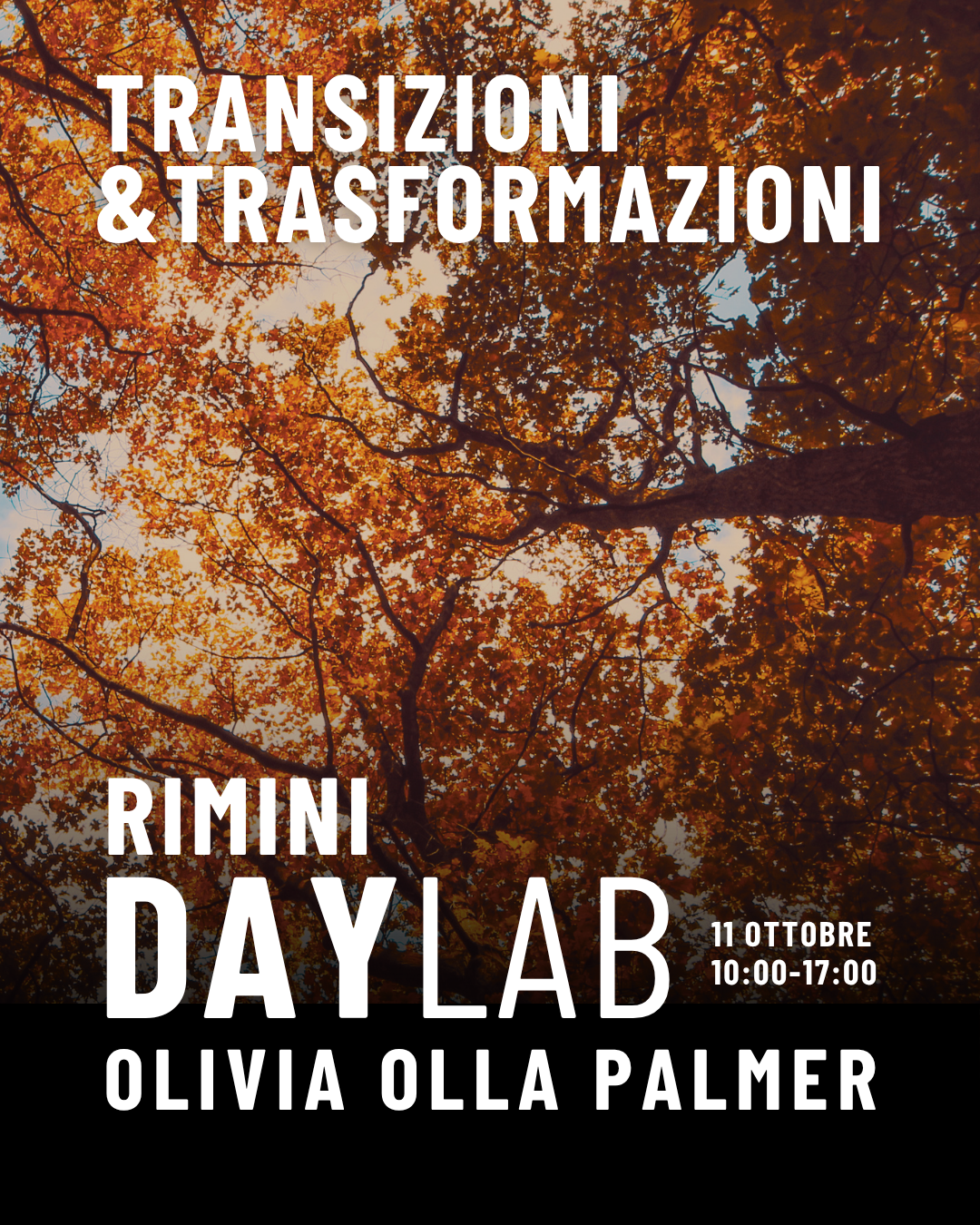 TRANSIZIONI E TRASFORMAZIONI